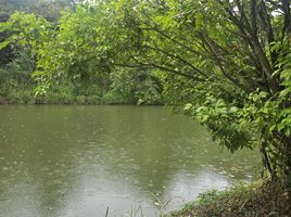 ขายที่ดิน ใน ดอยสะเก็ด เชียงใหม่, เชิงดอย