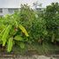  Grundstück zu verkaufen in Bueng Kum, Bangkok, Khlong Kum