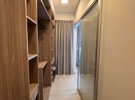 1 Bedroom Condo for rent at Plum Condo Sukhumvit 62, Bang Chak, Phra Khanong, Bangkok, Thailand
