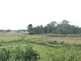  Land for sale in Du Tai, Mueang Nan, Du Tai