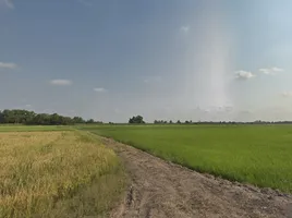  Land for sale in Khlong Sip Song, Nong Chok, Khlong Sip Song