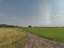  Land for sale in Khlong Sip Song, Nong Chok, Khlong Sip Song