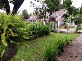 5 Bedroom House for rent in Yang Noeng, Saraphi, Yang Noeng