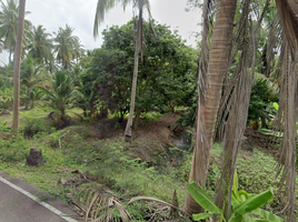  Land for sale in Samut Songkhram, Bang Khonthi, Bang Khonthi, Samut Songkhram