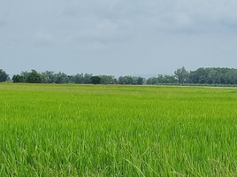  Land for sale in Phitsanulok, Phrom Phiram, Phrom Phiram, Phitsanulok