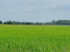  Grundstück zu verkaufen in Phrom Phiram, Phitsanulok, Phrom Phiram, Phrom Phiram, Phitsanulok