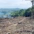  Land for sale in Lipa Noi, Koh Samui, Lipa Noi
