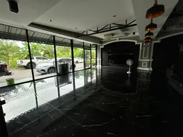 12 Bedroom Retail space for sale in Kathu, Phuket, Kathu, Kathu, Phuket