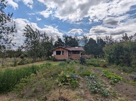 2 Schlafzimmer Haus zu verkaufen in Cotacachi, Imbabura, Cotacachi, Cotacachi, Imbabura