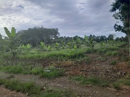  Land for sale in Phatthalung, Lan Khoi, Pa Phayom, Phatthalung