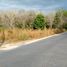  Land for sale in Thalang, Phuket, Choeng Thale, Thalang