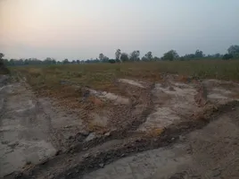  Grundstück zu verkaufen in Doem Bang Nang Buat, Suphan Buri, Hua Na