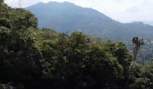 N/A Land for sale in Ang Thong, Koh Samui 