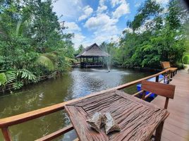  Grundstück zu verkaufen in Mueang Samut Songkhram, Samut Songkhram, Nang Takhian