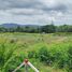  Land for sale in Phuket, Thep Krasattri, Thalang, Phuket