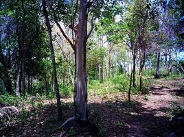  Land for sale in Maret, Koh Samui, Maret