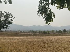  Grundstück zu verkaufen in Pa Daet, Chiang Rai, Rong Chang, Pa Daet