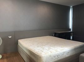 1 Schlafzimmer Wohnung zu vermieten im Tree Condo Sukhumvit 50, Phra Khanong