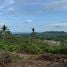  Land for sale in Samui Elephant Home, Na Mueang, Na Mueang