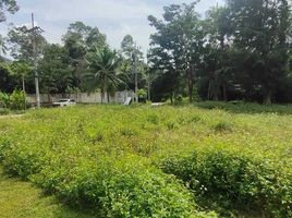  Land for sale in Thailand, Maenam, Koh Samui, Surat Thani, Thailand