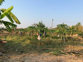  Grundstück zu verkaufen in Mueang Maha Sarakham, Maha Sarakham, Koeng