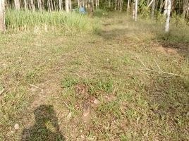  Land for sale in Sawi, Chumphon, Khron, Sawi