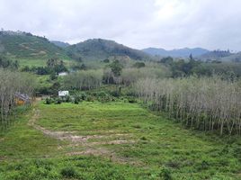  Land for sale in AsiaVillas, Khlong Kwang, Na Thawi, Songkhla, Thailand