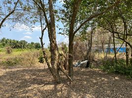  Land for sale in Pathum Thani, Bueng Bon, Nong Suea, Pathum Thani