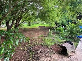  Land for sale in Sirindhorn, Ubon Ratchathani, Nikhom Sang Ton-Eng Lam Dom Noi, Sirindhorn