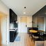 Studio Appartement zu vermieten im The Elements@Stevens, Orange grove, Newton