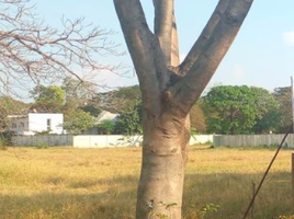  Grundstück zu verkaufen im Green Valley Bang Na, Bang Chalong, Bang Phli, Samut Prakan