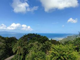  Land for sale in Surat Thani, Ban Tai, Koh Phangan, Surat Thani