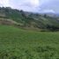  Land for sale in Marinilla, Antioquia, Marinilla
