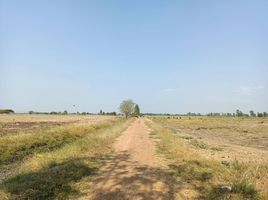  Land for sale in Phai Yai, Ban Mi, Phai Yai