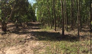 N/A Land for sale in Kaeng Dinso, Prachin Buri 