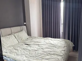 1 спален Кондо в аренду в Niche MONO Mega Space Bangna, Bang Kaeo