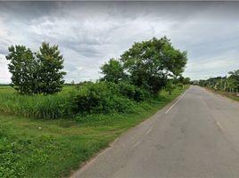  Land for sale in Chaiyaphum, Kut Yom, Phu Khiao, Chaiyaphum