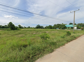  Grundstück zu verkaufen in Nong Ya Sai, Suphan Buri, Nong Ratchawat, Nong Ya Sai