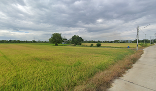 N/A Land for sale in Don Ya Nang, Phra Nakhon Si Ayutthaya 