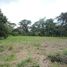  Land for sale in Orotina, Alajuela, Orotina