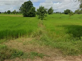 Land for sale in Si Sa Ket, Sueang Khao, Si Rattana, Si Sa Ket