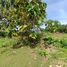  Land for sale in Badung Bali, Kuta