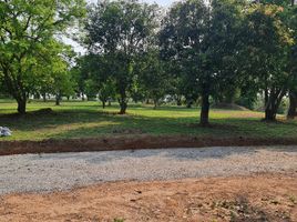 Grundstück zu verkaufen in Mueang Chiang Rai, Chiang Rai, Huai Sak, Mueang Chiang Rai, Chiang Rai