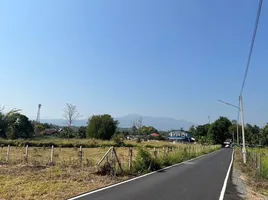  Grundstück zu verkaufen in Mae Rim, Chiang Mai, Huai Sai, Mae Rim
