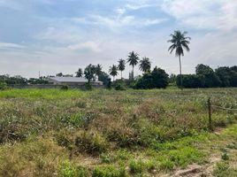  Grundstück zu verkaufen in Cha-Am, Phetchaburi, Cha-Am, Phetchaburi