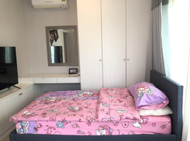 4 Schlafzimmer Haus zu vermieten im Perfect Place Sukhumvit 77 - Suvarnabhumi, Lat Krabang, Lat Krabang, Bangkok