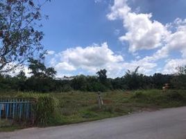  Land for sale in Surat Thani, Makham Tia, Mueang Surat Thani, Surat Thani