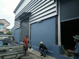  Warehouse for rent in Thailand, Bang Pu Mai, Mueang Samut Prakan, Samut Prakan, Thailand