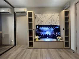 1 Bedroom Condo for rent at The Politan Aqua, Bang Kraso