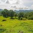  Land for sale in Penonome, Cocle, Toabre, Penonome